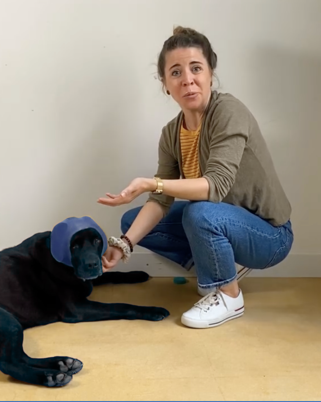 SilentPaw™ Hunde Hörschutz