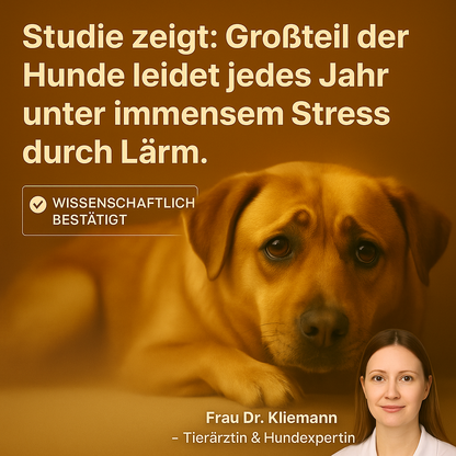 SilentPaw™ – Schütze deinen Hund vor Lärm